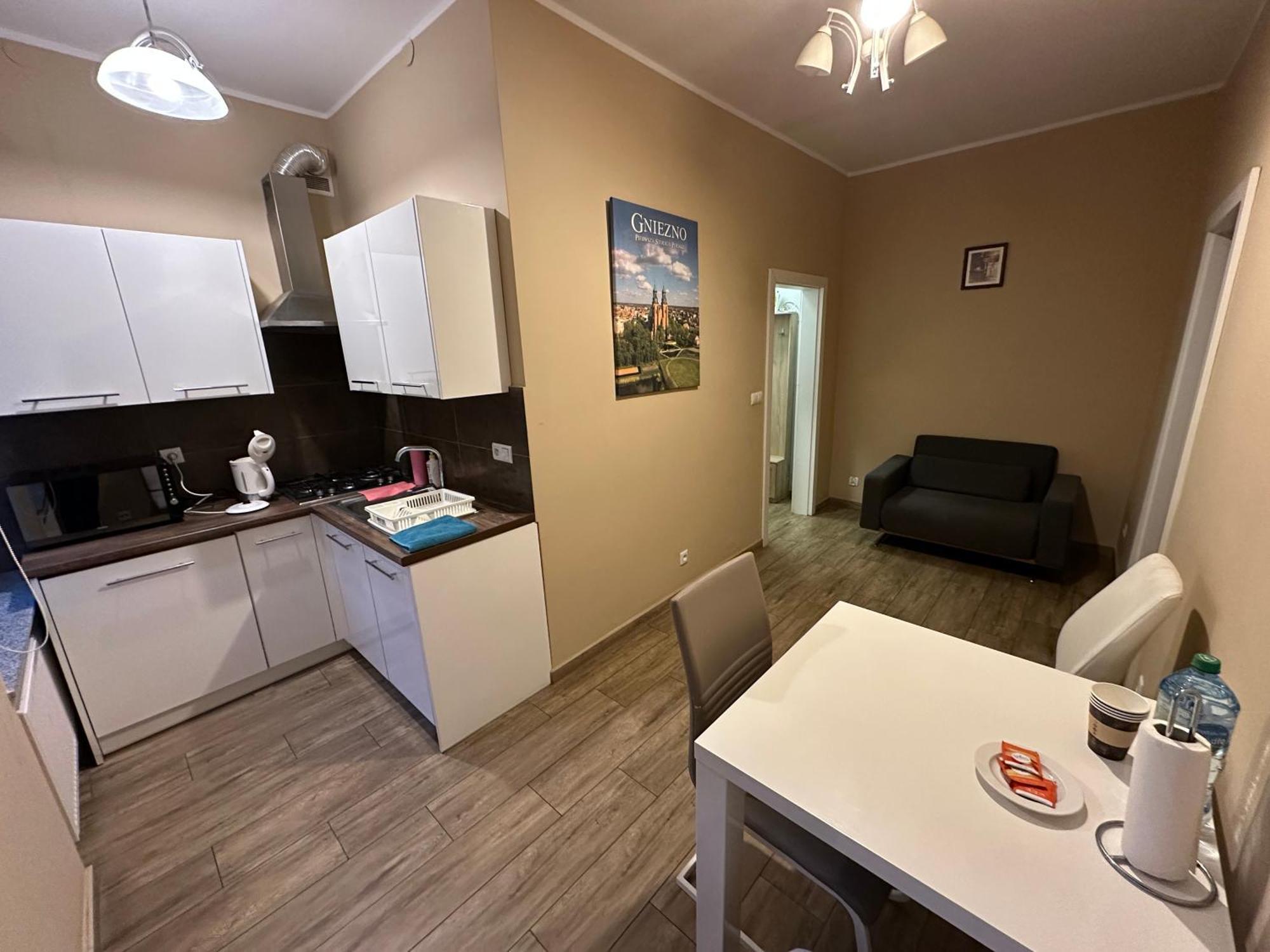 Apartament Aleksandra Γκνιέζνο Εξωτερικό φωτογραφία